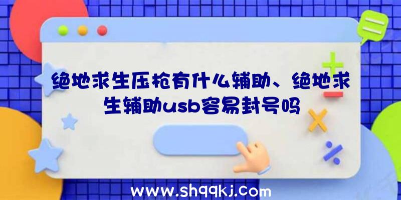 绝地求生压枪有什么辅助、绝地求生辅助usb容易封号吗