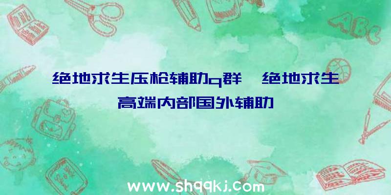 绝地求生压枪辅助q群、绝地求生高端内部国外辅助