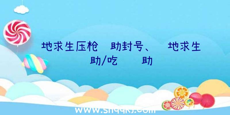 绝地求生压枪辅助封号、绝地求生辅助/吃鸡辅助