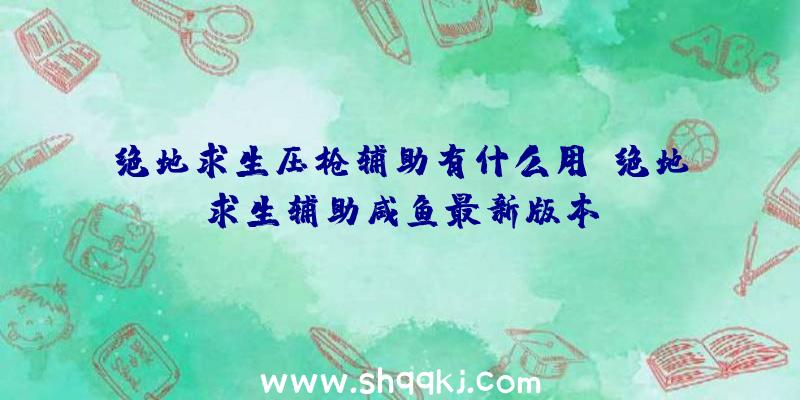 绝地求生压枪辅助有什么用、绝地求生辅助咸鱼最新版本