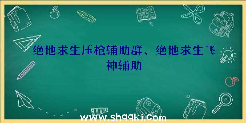 绝地求生压枪辅助群、绝地求生飞神辅助