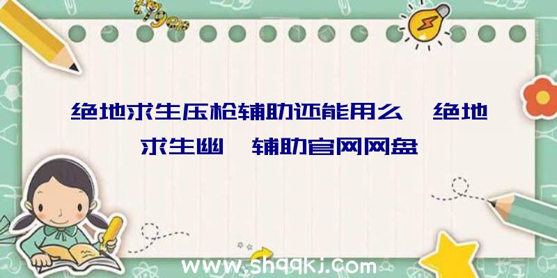 绝地求生压枪辅助还能用么、绝地求生幽冥辅助官网网盘