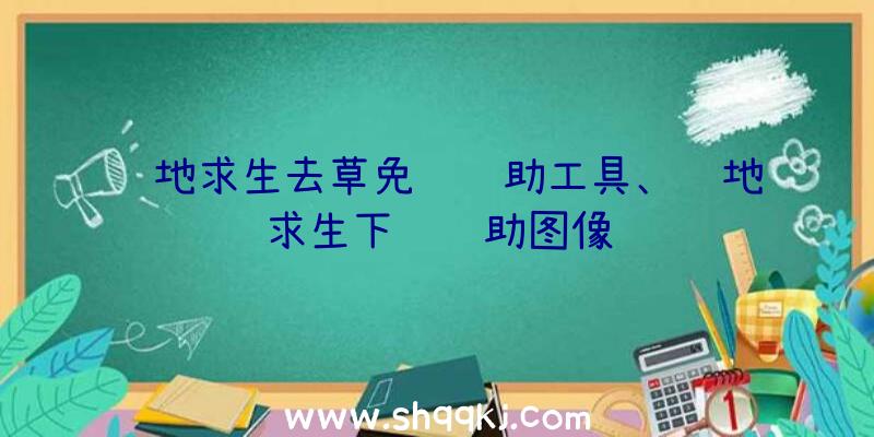 绝地求生去草免费辅助工具、绝地求生下载辅助图像