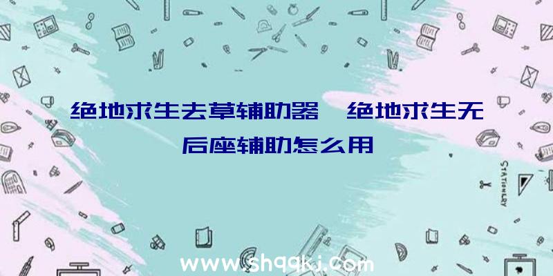 绝地求生去草辅助器、绝地求生无后座辅助怎么用