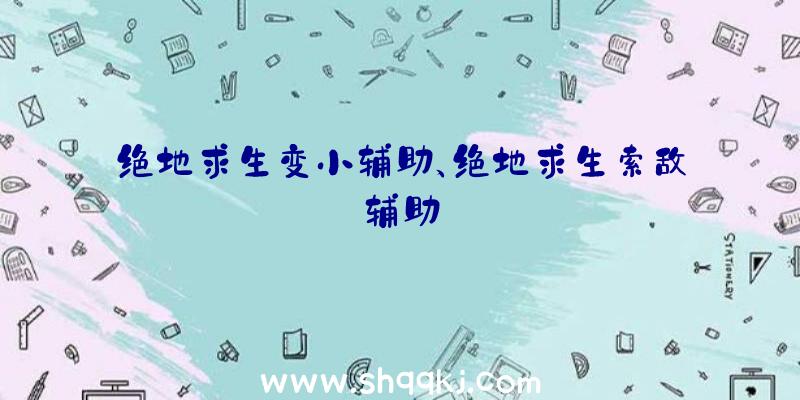 绝地求生变小辅助、绝地求生索敌辅助