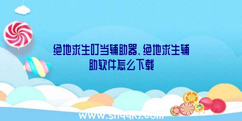 绝地求生叮当辅助器、绝地求生辅助软件怎么下载