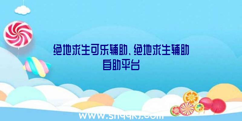 绝地求生可乐辅助、绝地求生辅助自助平台