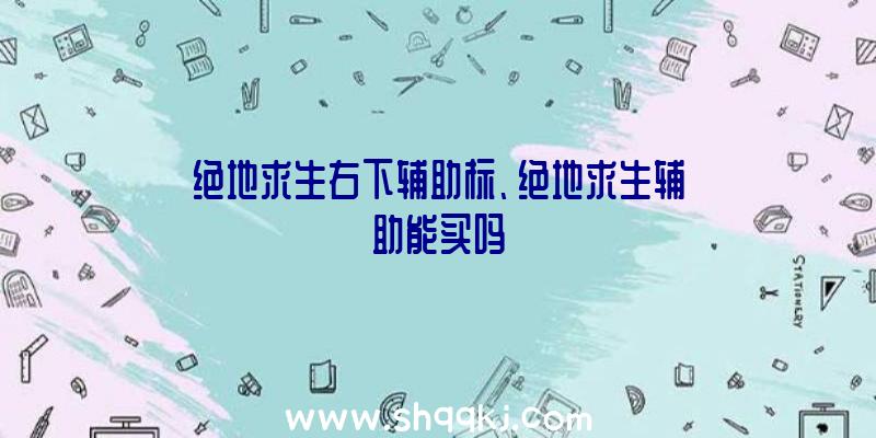 绝地求生右下辅助标、绝地求生辅助能买吗