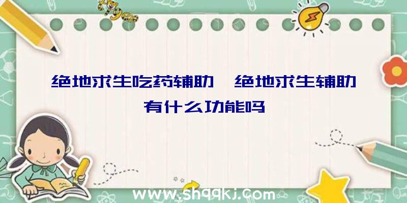 绝地求生吃药辅助、绝地求生辅助有什么功能吗