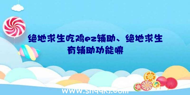 绝地求生吃鸡ez辅助、绝地求生有辅助功能嘛