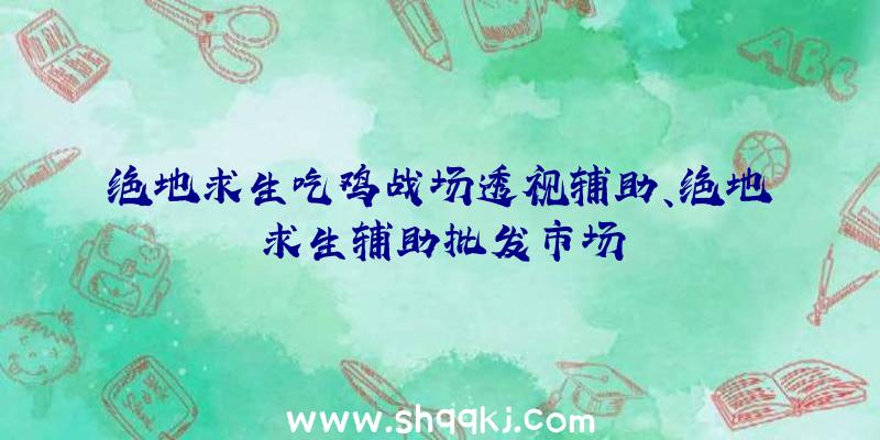 绝地求生吃鸡战场透视辅助、绝地求生辅助批发市场