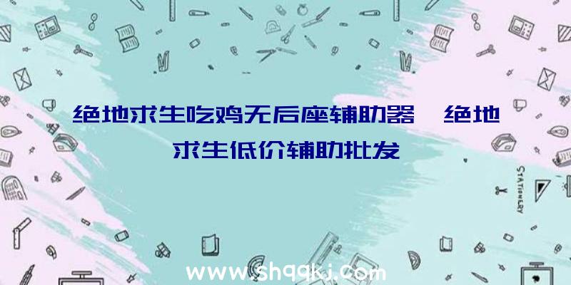 绝地求生吃鸡无后座辅助器、绝地求生低价辅助批发