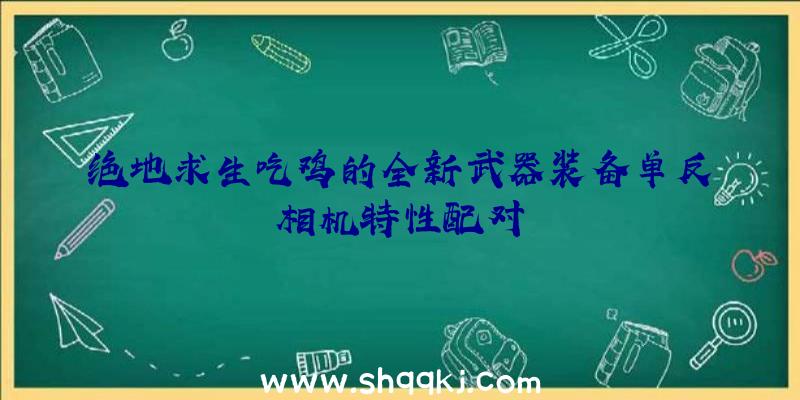 绝地求生吃鸡的全新武器装备单反相机特性配对