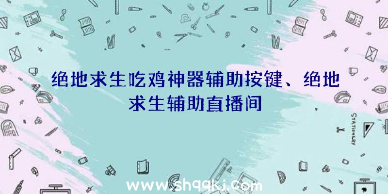 绝地求生吃鸡神器辅助按键、绝地求生辅助直播间