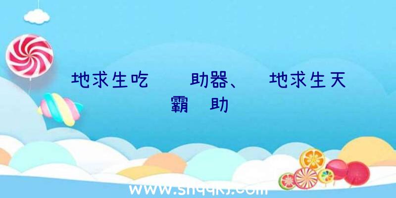 绝地求生吃鸡辅助器、绝地求生天霸辅助