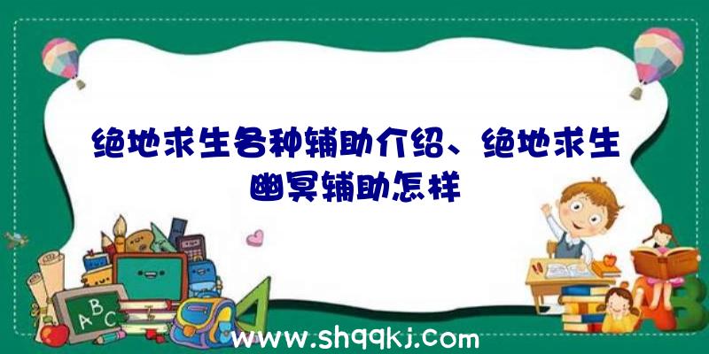 绝地求生各种辅助介绍、绝地求生幽冥辅助怎样