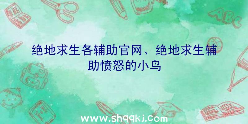 绝地求生各辅助官网、绝地求生辅助愤怒的小鸟