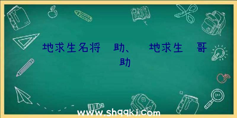 绝地求生名将辅助、绝地求生鸡哥辅助