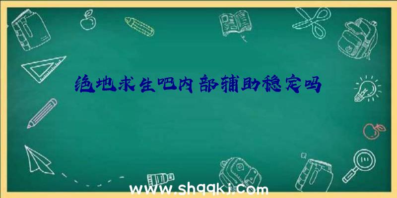 绝地求生吧内部辅助稳定吗