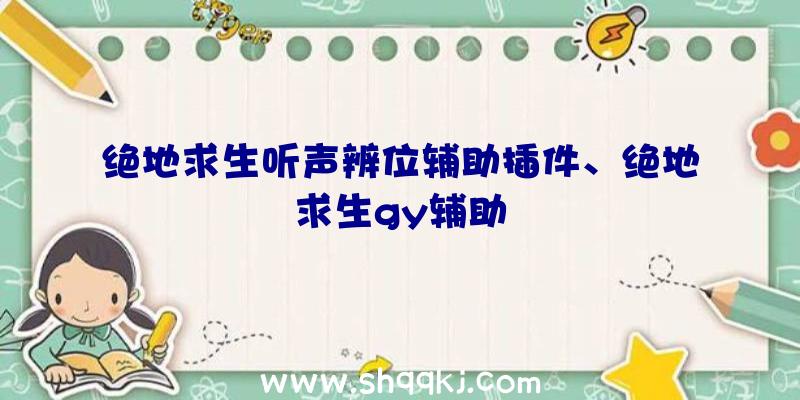 绝地求生听声辨位辅助插件、绝地求生gy辅助