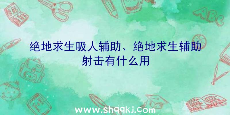 绝地求生吸人辅助、绝地求生辅助射击有什么用