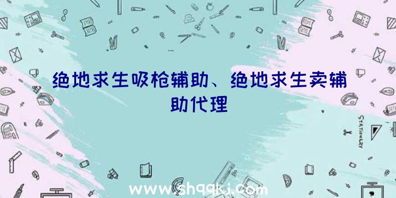 绝地求生吸枪辅助、绝地求生卖辅助代理