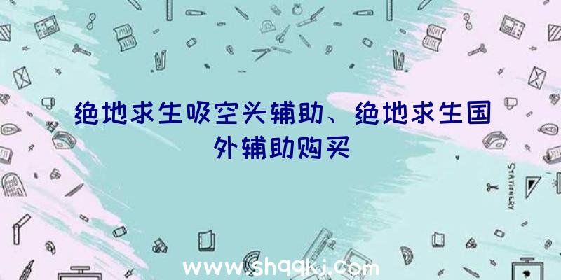 绝地求生吸空头辅助、绝地求生国外辅助购买