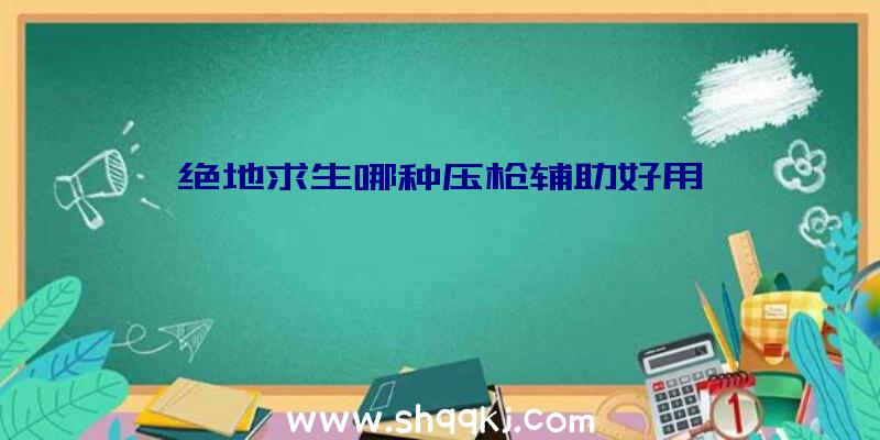 绝地求生哪种压枪辅助好用