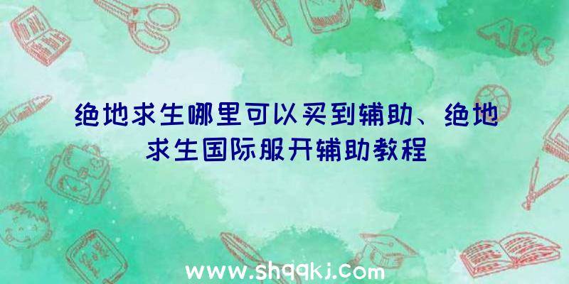 绝地求生哪里可以买到辅助、绝地求生国际服开辅助教程