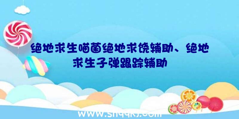 绝地求生喵菌绝地求饶辅助、绝地求生子弹跟踪辅助