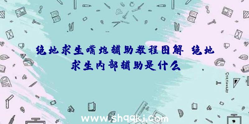 绝地求生嘴炮辅助教程图解、绝地求生内部辅助是什么