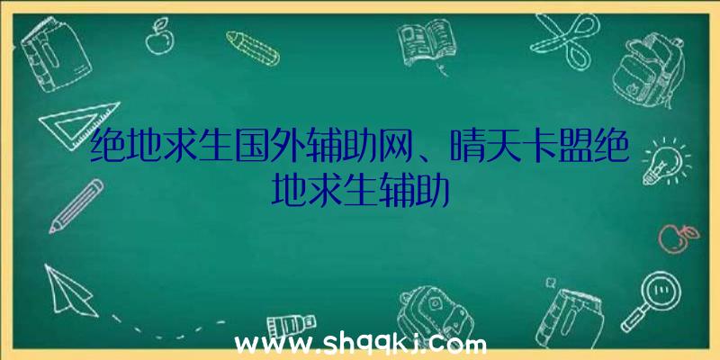 绝地求生国外辅助网、晴天卡盟绝地求生辅助