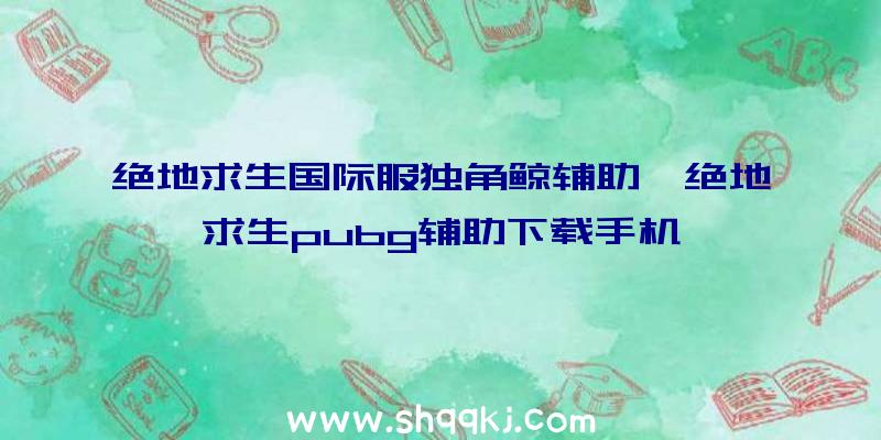 绝地求生国际服独角鲸辅助、绝地求生pubg辅助下载手机