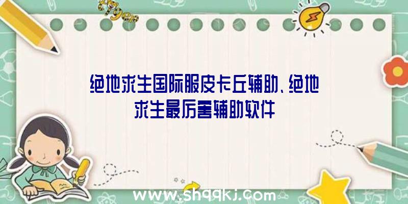 绝地求生国际服皮卡丘辅助、绝地求生最厉害辅助软件