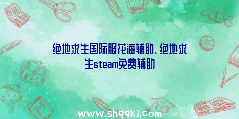 绝地求生国际服花海辅助、绝地求生steam免费辅助