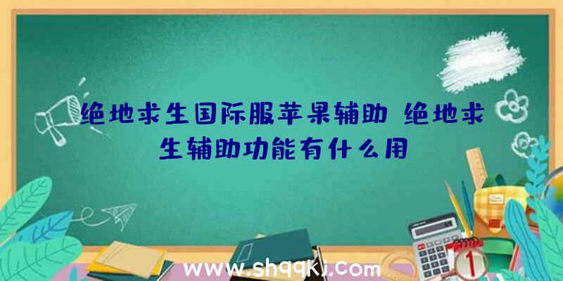 绝地求生国际服苹果辅助、绝地求生辅助功能有什么用