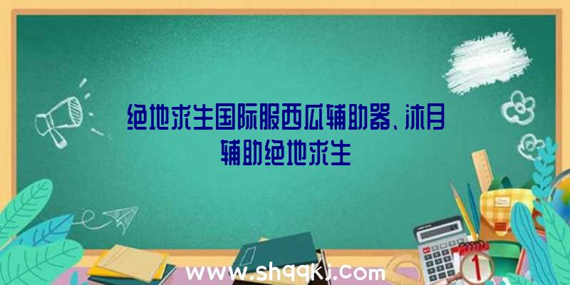 绝地求生国际服西瓜辅助器、沐月辅助绝地求生