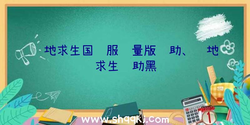 绝地求生国际服轻量版辅助、绝地求生辅助黑