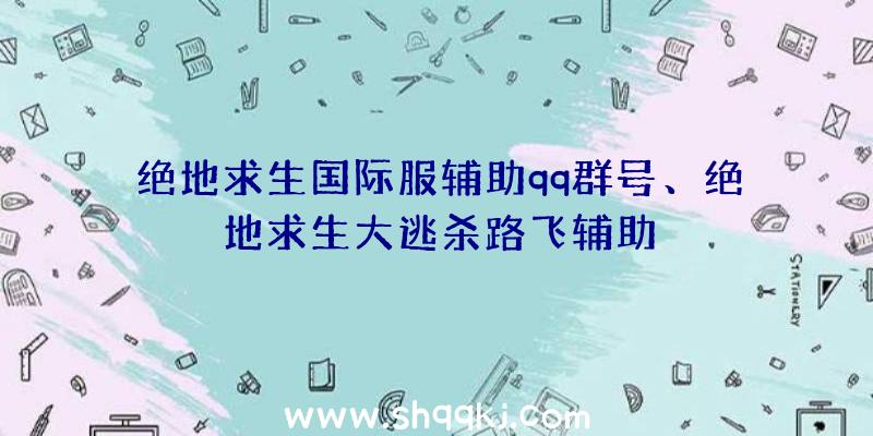 绝地求生国际服辅助qq群号、绝地求生大逃杀路飞辅助