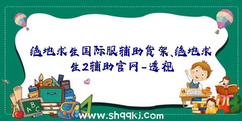 绝地求生国际服辅助货架、绝地求生2辅助官网-透视