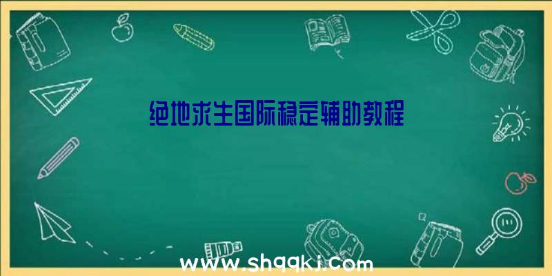 绝地求生国际稳定辅助教程