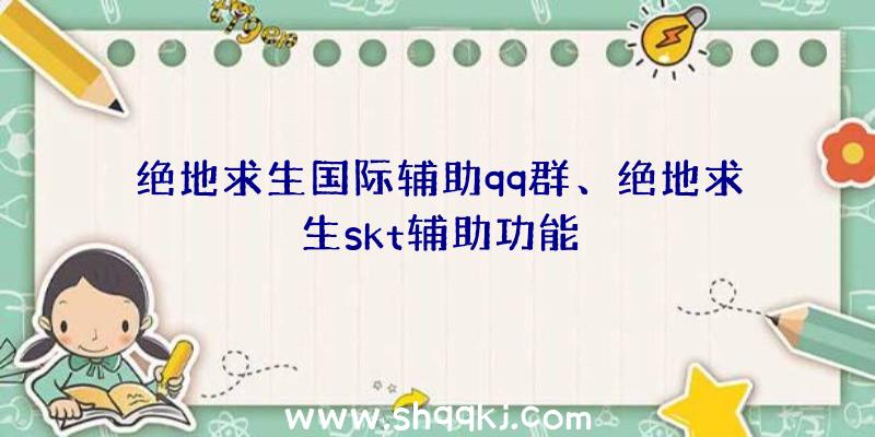 绝地求生国际辅助qq群、绝地求生skt辅助功能