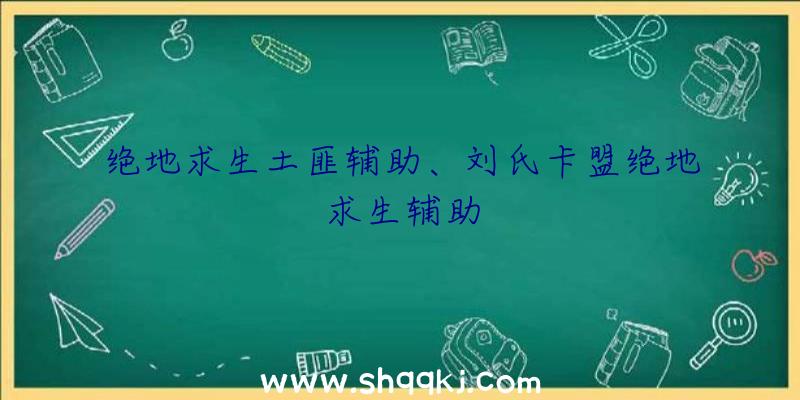 绝地求生土匪辅助、刘氏卡盟绝地求生辅助