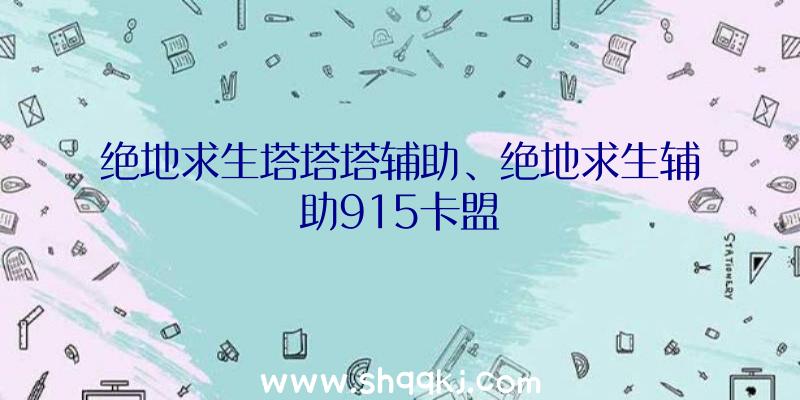 绝地求生塔塔塔辅助、绝地求生辅助915卡盟