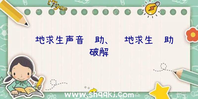 绝地求生声音辅助、绝地求生辅助破解贴