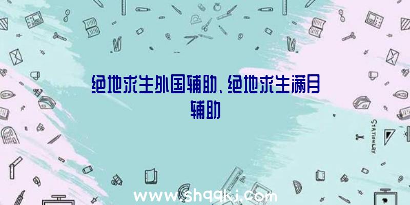 绝地求生外国辅助、绝地求生满月辅助