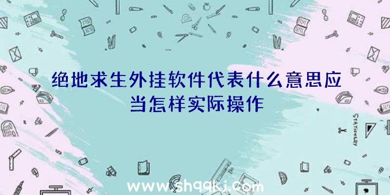 绝地求生外挂软件代表什么意思应当怎样实际操作