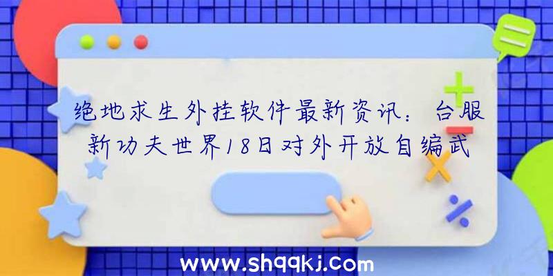 绝地求生外挂软件最新资讯：台服新功夫世界18日对外开放自编武学、经络系统软件