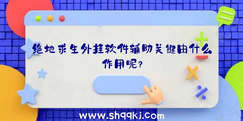 绝地求生外挂软件辅助关键由什么作用呢？