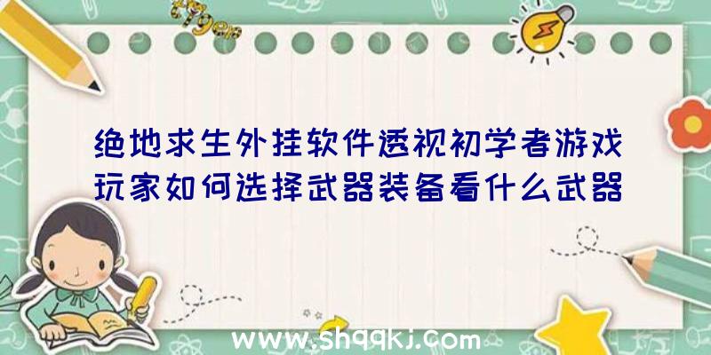 绝地求生外挂软件透视初学者游戏玩家如何选择武器装备看什么武器装备合适你